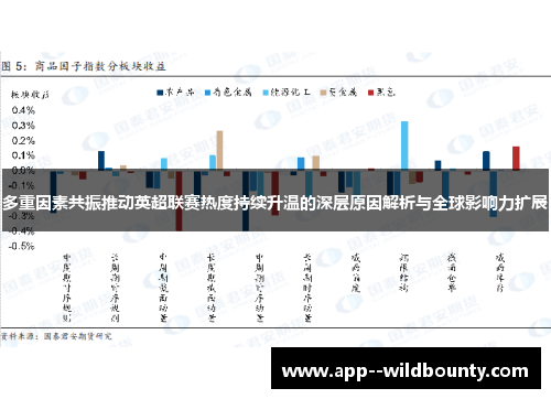 多重因素共振推动英超联赛热度持续升温的深层原因解析与全球影响力扩展