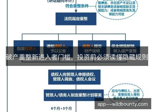 破产重整新进入者门槛，投资前必须读懂隐藏规则