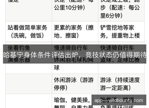 哈基宁身体条件评估出炉，竞技状态仍值得期待