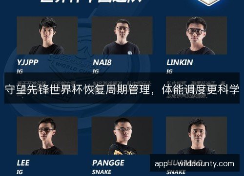 守望先锋世界杯恢复周期管理，体能调度更科学